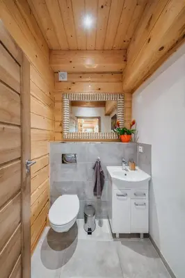 a bathroom with a toilet and a sink at Leśny Zakątek Jurków in Jurków