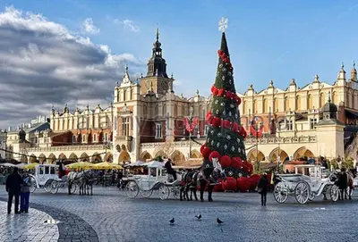 a christmas tree in front of a large building at Your stylish spot in the center of Kraków in Kraków
