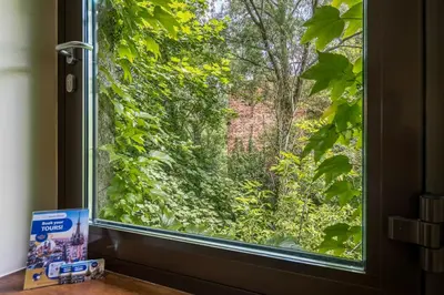 a window with a view of a forest at Garden House Apartments in Kraków