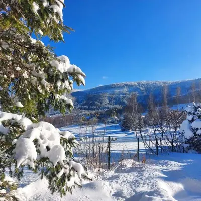 a snow covered field with trees and a fence at Panorama Sucha Góra in Skawica