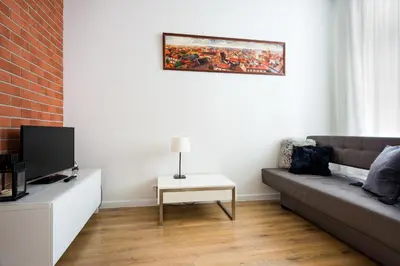 a living room with a couch and a tv at Apartament Felicjanek in Kraków