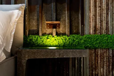 a fish tank with green moss on a bed at Wiślane Tarasy - UNIQUE Apartments 4YOU - 10 piętro z pięknym widokiem na centrum Krakowa in Kraków