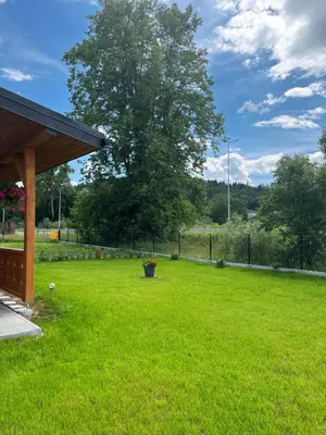 a large yard with a tree and a fence at Domek nad Poniczanką in Rabka-Zdroj