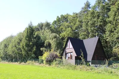 a small house with a black roof in a field at PrzyTuLasek - domek pod lasem w sercu natury, blisko Energylandii in Zator
