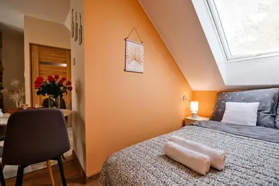 a bedroom with a bed and a skylight at Studio D&D Przeciszów in Przeciszów
