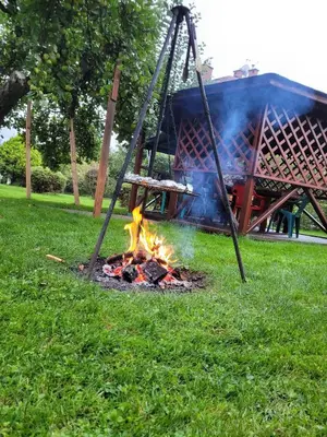 a fire pit in the grass in a park at Orkana44F in Mszana Dolna