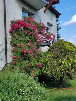 a building with flowers on the side of it at Orkana44F in Mszana Dolna