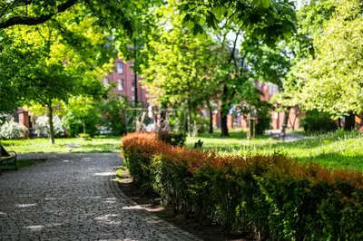 a path in a park with a bench and trees at Wenecja Moxy TE&AM Stare Miasto Dworzec 3 min Parking GRATIS in Kraków