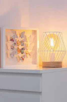 a shelf with a picture of butterflies and a lamp at Spacious & Cozy Apartment Grzegórzecka by Noclegi Renters in Kraków