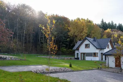 a white house with a tree in the yard at Domki Kamieniec in Marcyporęba