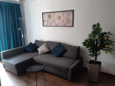 a living room with a couch and a plant at Apollo Apartments Zabłocie 21 in Kraków