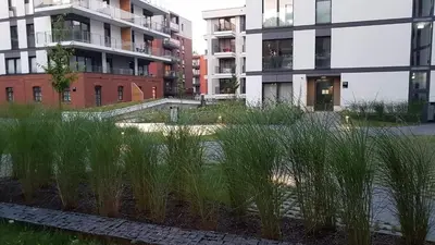 a garden with tall grass in front of buildings at Novum apartment in the city center in Kraków