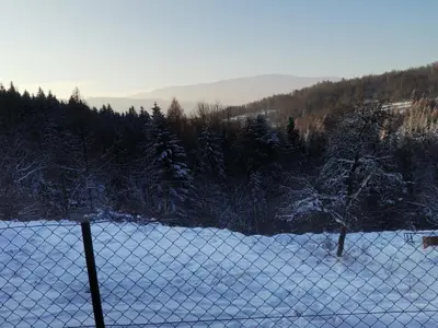 a fence in a snow covered field with trees at Dom na Smyrakach in Zawoja