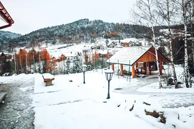 a snow covered cabin with birds standing around it at ForRest House Jacuzzi & Sauna in Jasienica