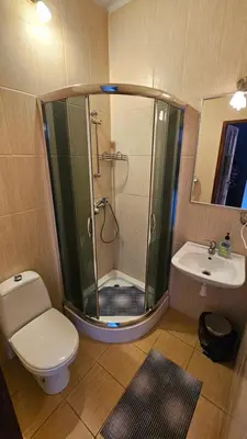 a bathroom with a shower and a toilet and a sink at Zajazd-restauracja Zyga in Iwkowa