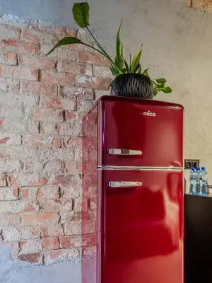 a red refrigerator with a plant on top of it at A charming loft in the heart of KRAKÓW with free parking in Kraków