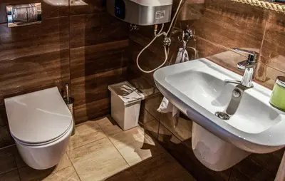 a bathroom with a toilet and a sink at Awesome Home In Slopnice With Sauna in Słopnice