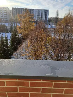 a brick wall and trees with buildings in the background at APARTAMENTY HEMMA ORAWSKA 14 in Kraków