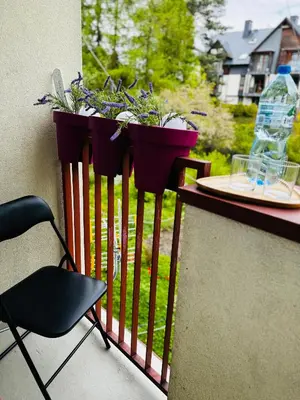 two potted plants on a balcony with a chair at Apartament na Orkana in Rabka-Zdroj