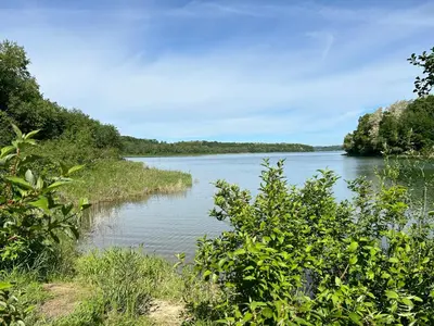 a view of a river with trees in the foreground at Rogaty Domek nad Zalewem in Dobczyce