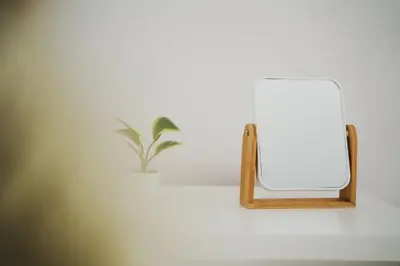 a mirror on a shelf with a potted plant at Apartament Bulwary 3 in Oświęcim