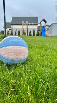 a frisbee laying on the grass in a yard at Apartamenty Izabell by Housine in Zator