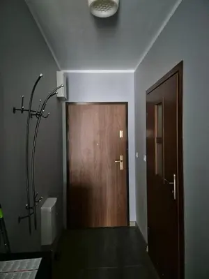 a bathroom with a wooden door and a light at Apartament Bunsha Kraków in Kraków