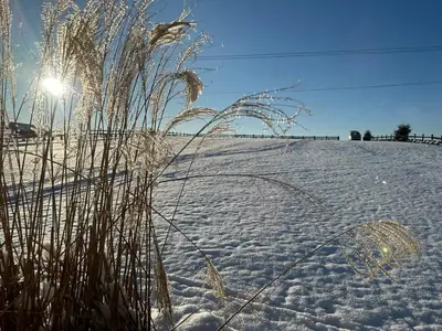 a field covered in snow with blades of grass at Bąbelkowa Chata Beskidy Domek z Balią Jacuzzi in Gilowice