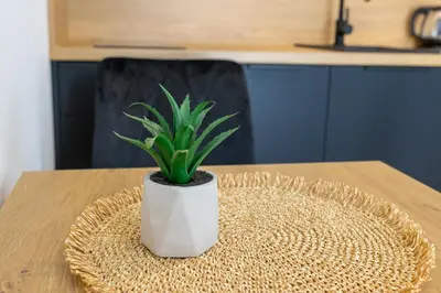 a potted plant sitting on top of a table at DS Apartamenty Jaśminowa in Zator
