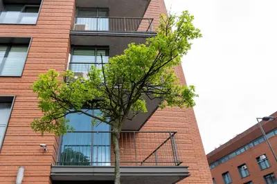 a tree in front of a brick building at Kraków Główny Apartment - Parking, Workspace - by Rentujemy in Kraków