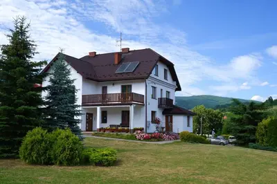 a white house with a brown roof at Willa Tulipan in Kamienica