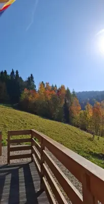 a wooden fence next to a field with trees at Gładyszówka - Chatka w Gorcach in Ponice