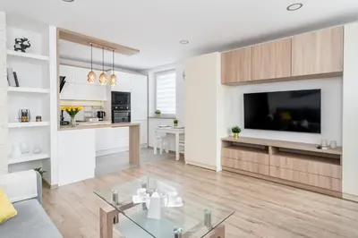a living room with a couch and a tv at Sunny Kliny Apartment in Kraków