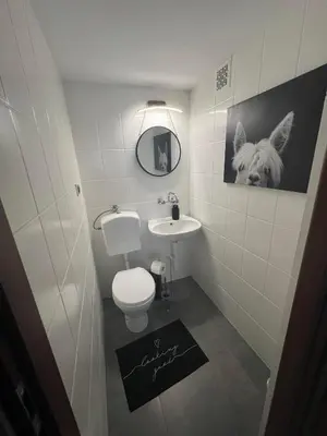a small bathroom with a toilet and a sink at Apartament Koninki in Poręba Wielka