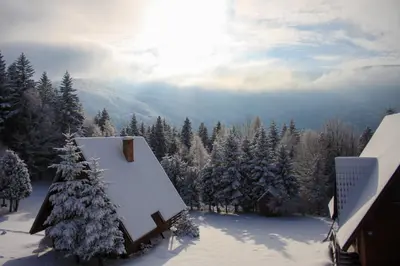 a snow covered mountain with trees and a house at Spokojny Domek w Skawicy in Skawica