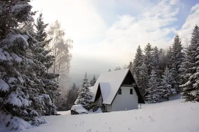 a cabin in a snowy forest with snow covered trees at Spokojny Domek w Skawicy in Skawica