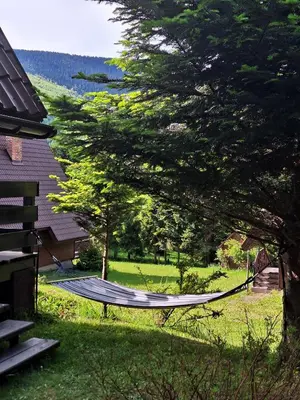 a hammock in a yard with a tree at Spokojny Domek w Skawicy in Skawica