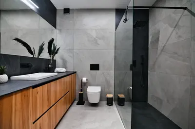 a bathroom with a shower and a toilet and a sink at Apartament Venus by Housine in Zator