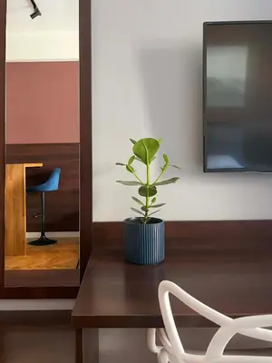 a plant sitting on a wooden table next to a mirror at Well-connected Apartment in Old Town Cracow in Kraków