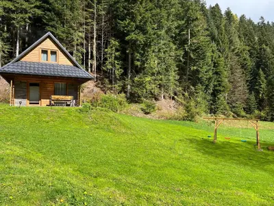 a small house on a hill in a green field at Leśne Zacisze in Ochotnica Górna