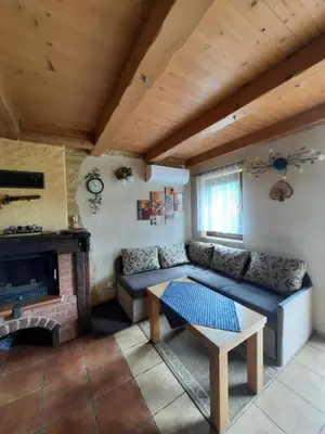 a living room with a couch and a fireplace at Morycówka in Rzyki