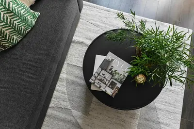 a black table with a plant on top of a couch at Cracow Palm Apartment in Kraków