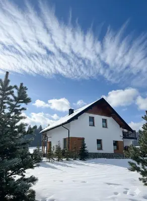a snow covered mountain with trees in the foreground at Domek SAMI SWOI in Zawoja
