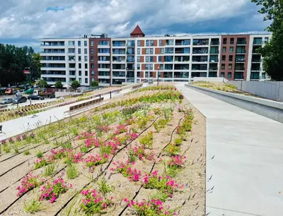 a garden with flowers in the middle of a park at Penthouse21 in Oświęcim