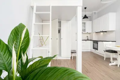 a kitchen and living room with white cabinets and a plant at Kazimierz District - Starowislna 43 in Kraków