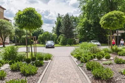 a car driving down a road in a park with trees at Hostel Biały Dom in Kraków
