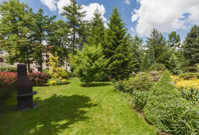 a garden with plants and trees on a sunny day at Hostel Biały Dom in Kraków