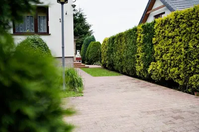 a brick sidewalk in front of a house with a hedge at Magic Apartments - Garden in Zator