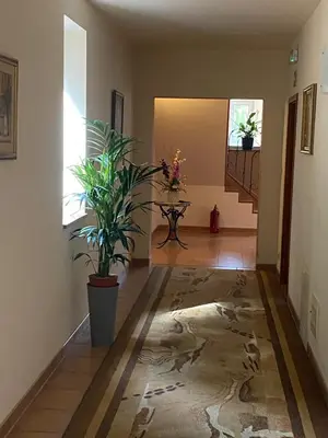 a hallway with a potted plant and a table at Hotel GoGreen *** in Kraków