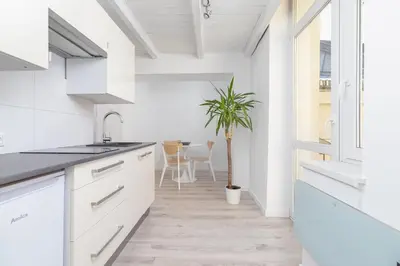 a kitchen with white cabinets and a potted plant at Apartment with balcony - Paulinska 8 street in Kraków